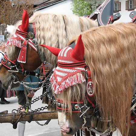 Aktivhotel & Gasthof Schmelz Ihr Urlaubs Hotel In Inzell Mit Wellness Hallenbad, Alpensauna & Dampfbad エクステリア 写真