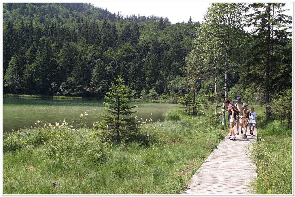 Aktivhotel & Gasthof Schmelz Ihr Urlaubs Hotel In Inzell Mit Wellness Hallenbad, Alpensauna & Dampfbad エクステリア 写真